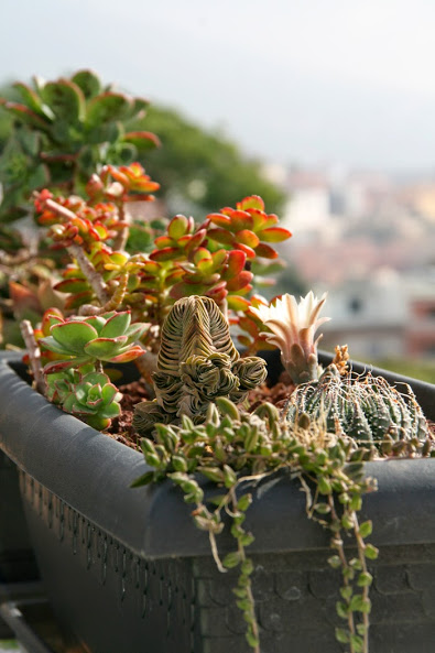 20130713_22.JPG