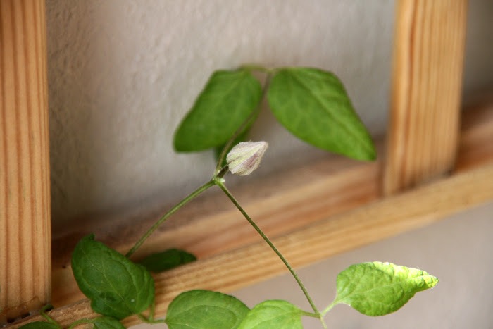 20130713_26.JPG