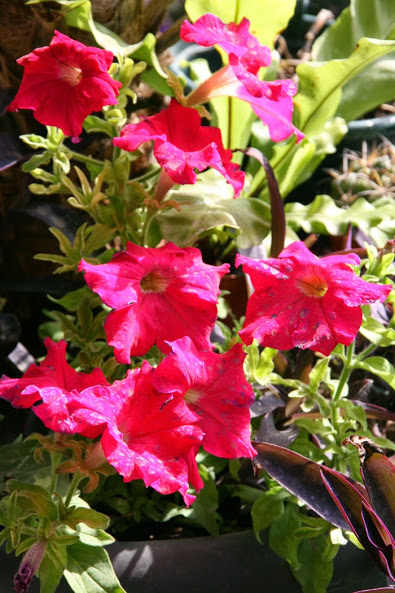 20130713_5.JPG