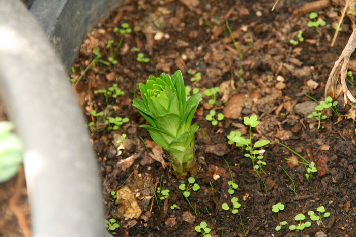 20130713_7.JPG