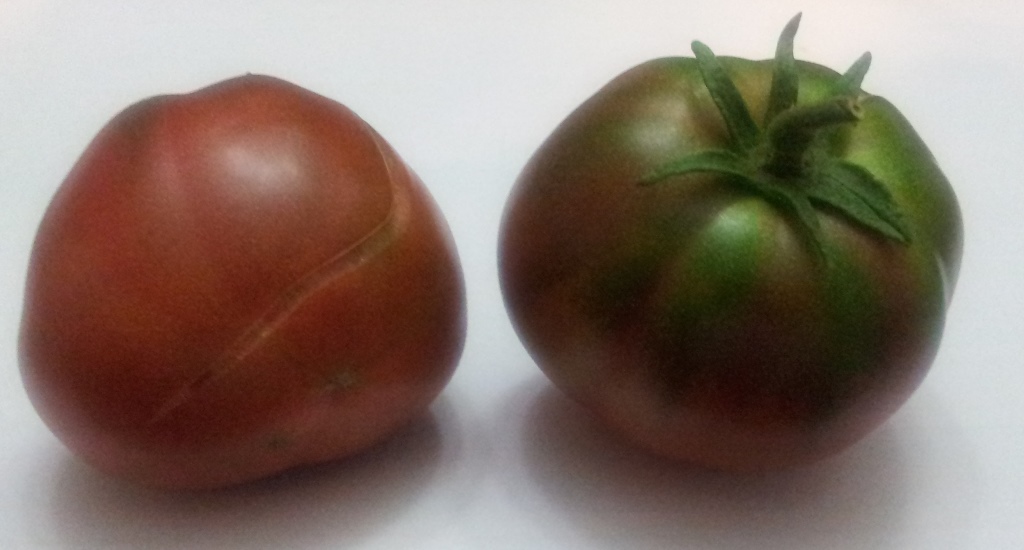20130720_223238.jpg