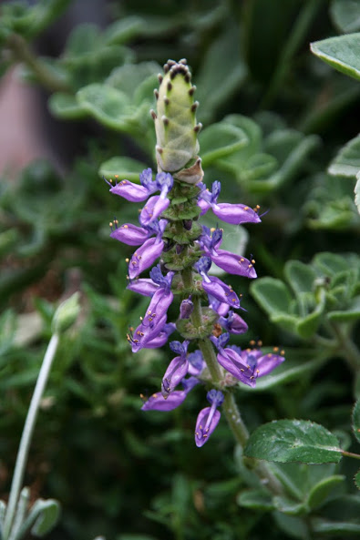 20130723_12.JPG