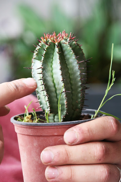 20130723_16.JPG