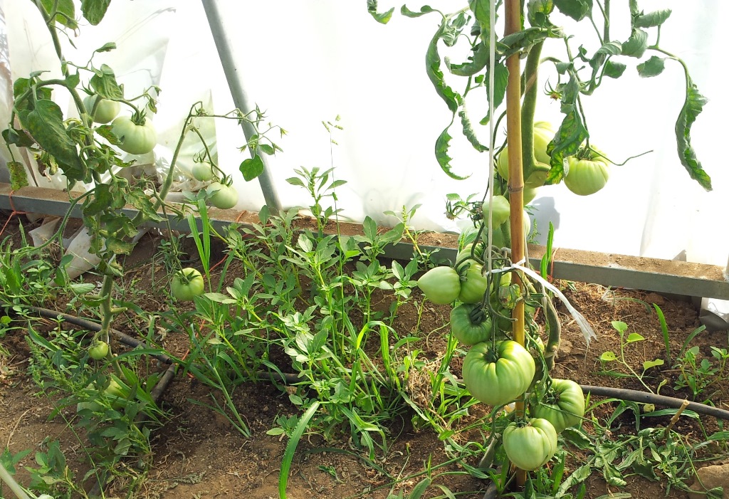 20130723_193125.jpg