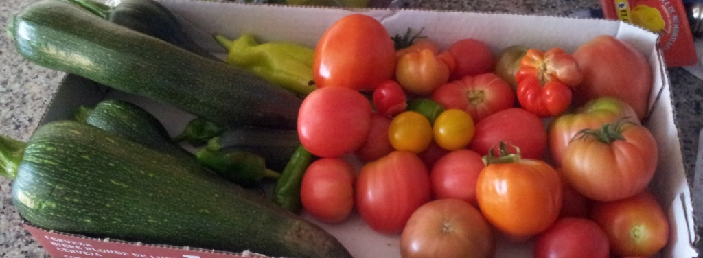 20130730_144634.jpg