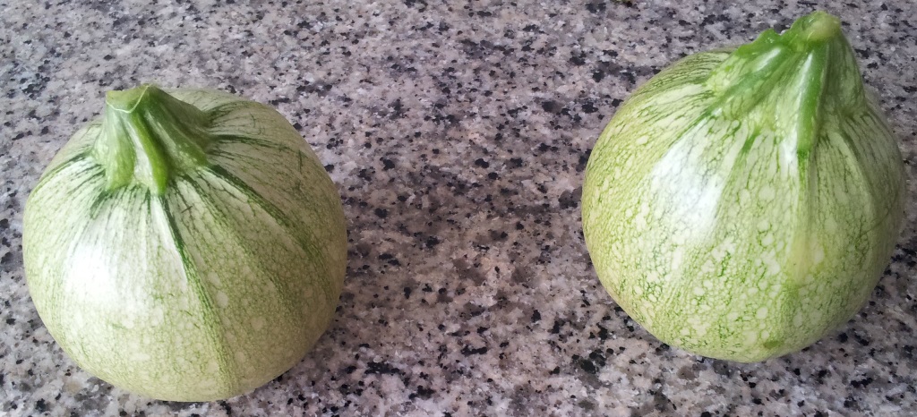 20130803_121819.jpg