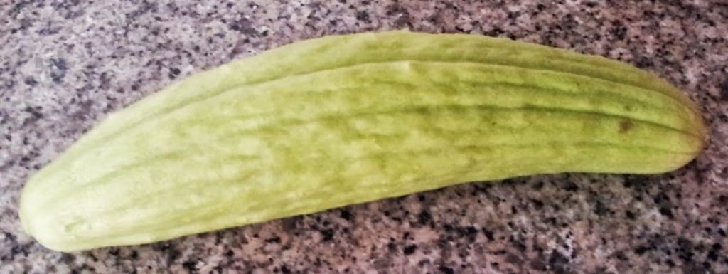 20130811_125820.jpg