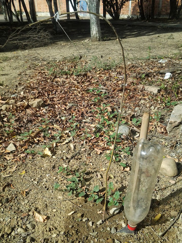 20130818_152311.jpg