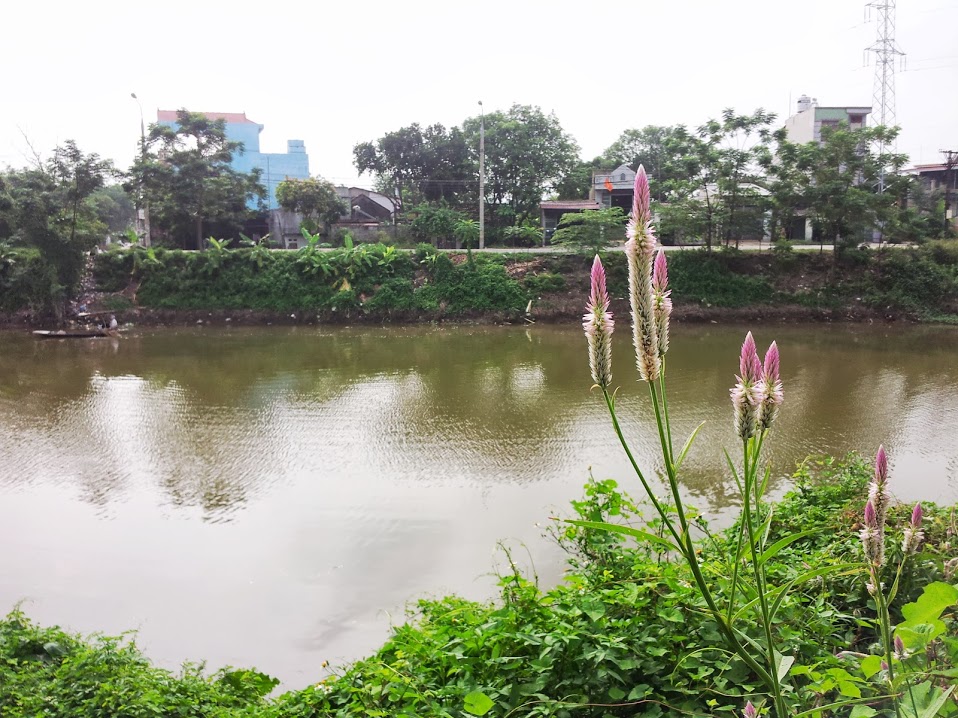 20130825_082522.jpg