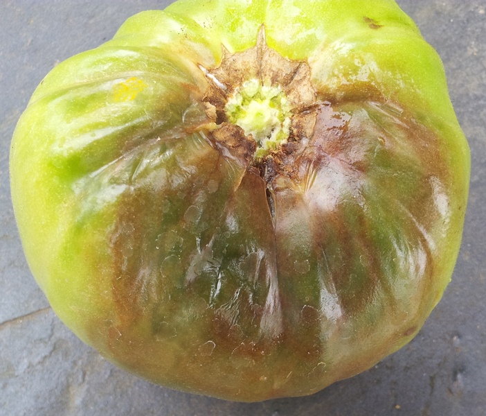 20130825_110405.jpg