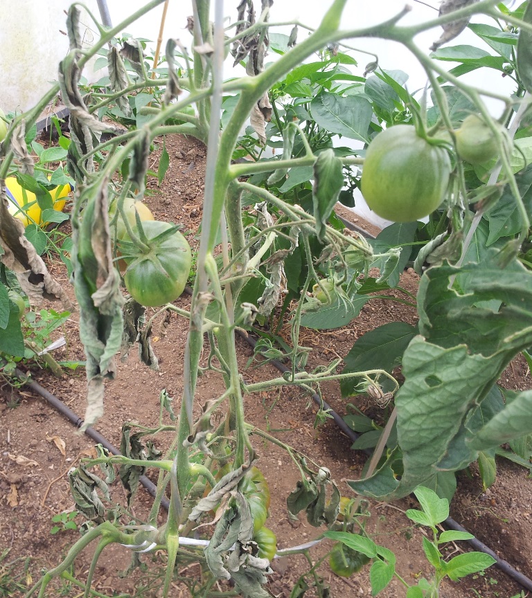 20130825_112959.jpg