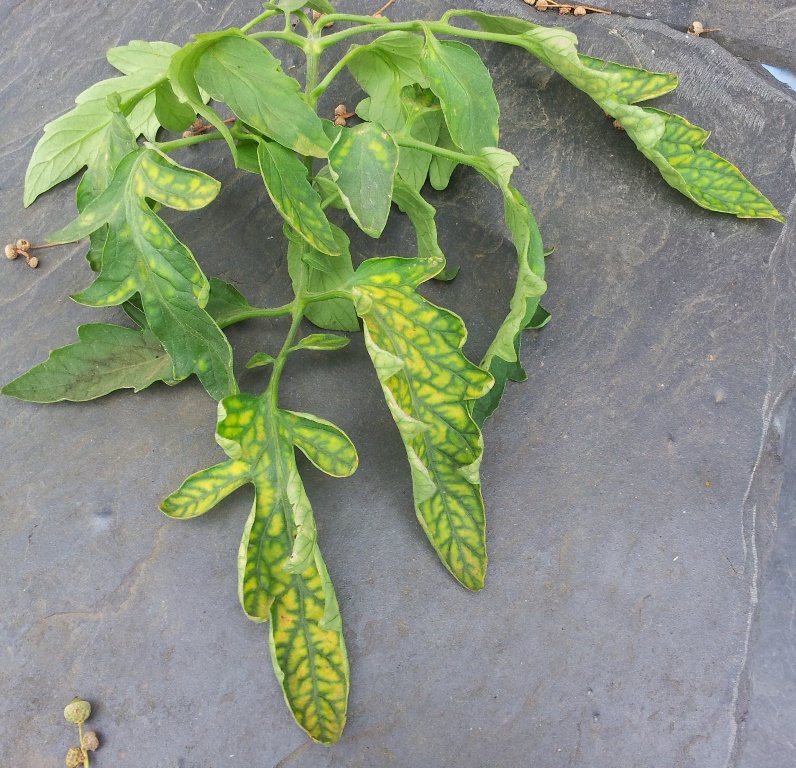 20130825_113456.jpg