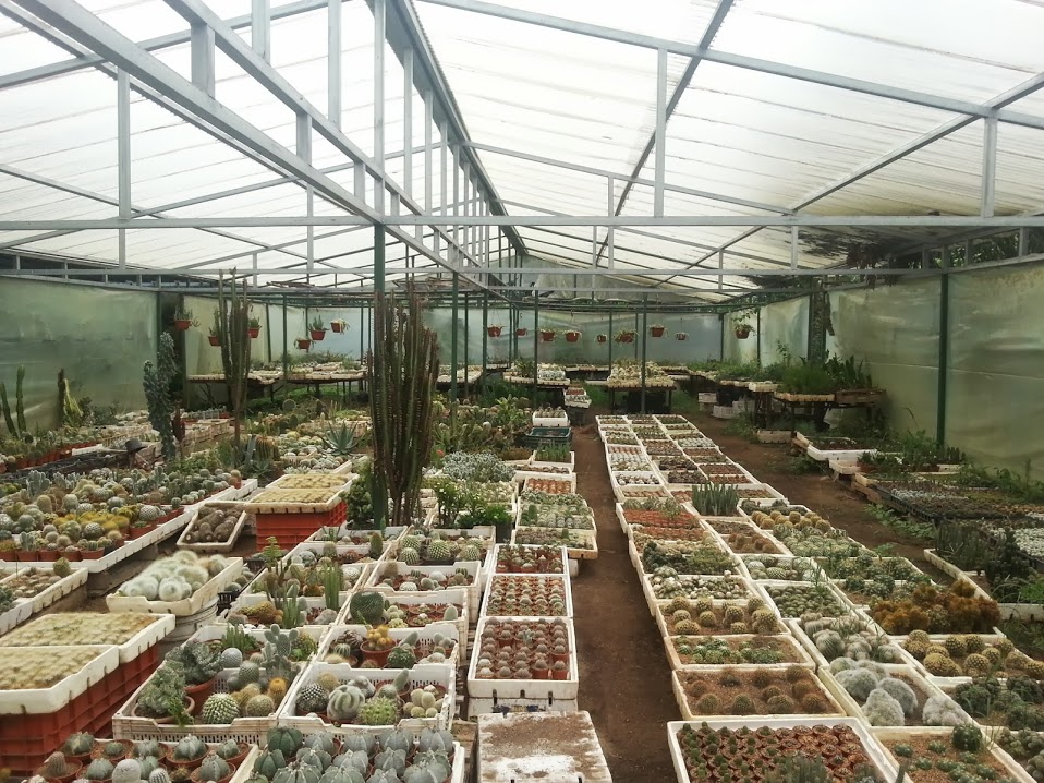 20130901_143547.jpg