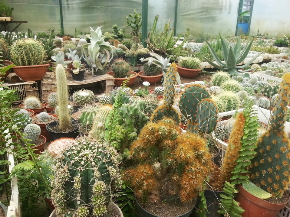 20130901_145338.jpg