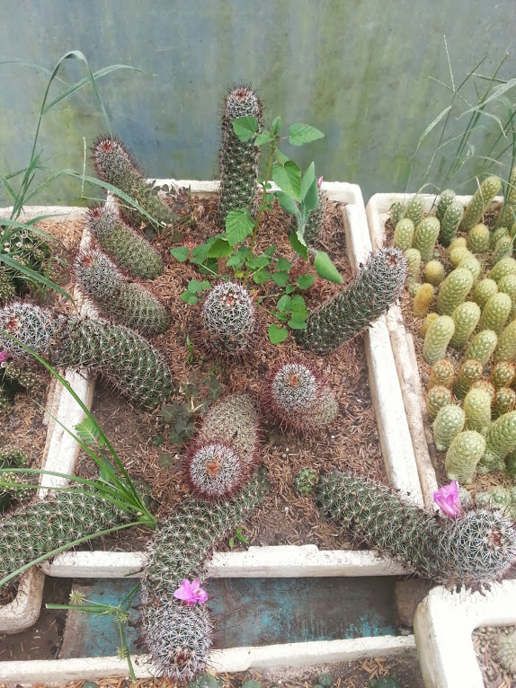 20130901_145451.jpg