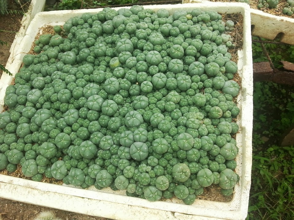 20130901_145504.jpg