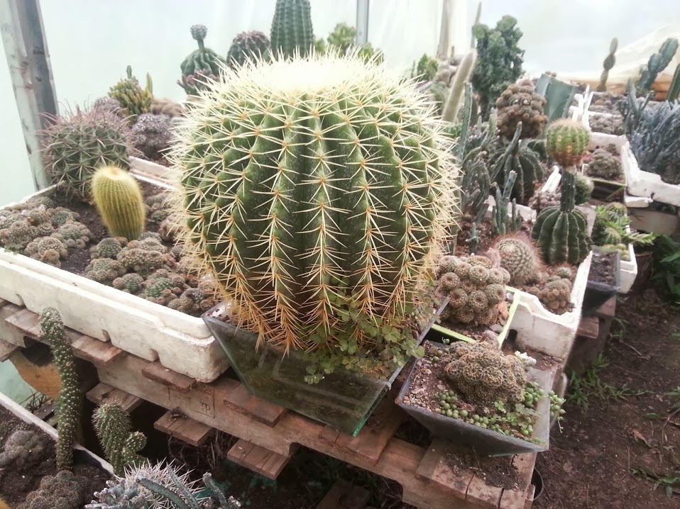20130901_152828.jpg