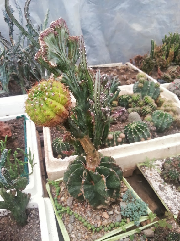 20130901_153518.jpg
