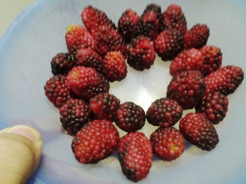 20130913_201746.jpg