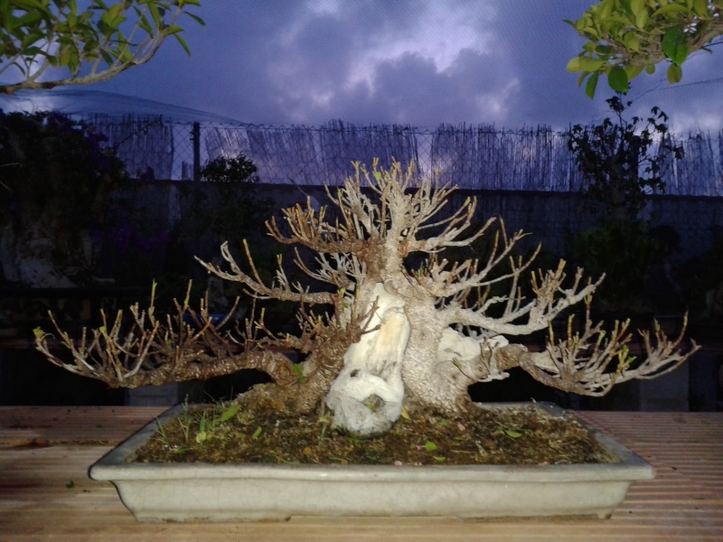20130925.jpg