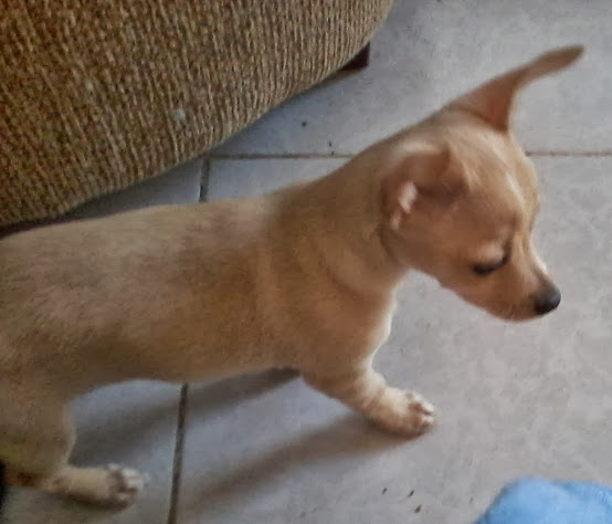 20131001_161803.jpg