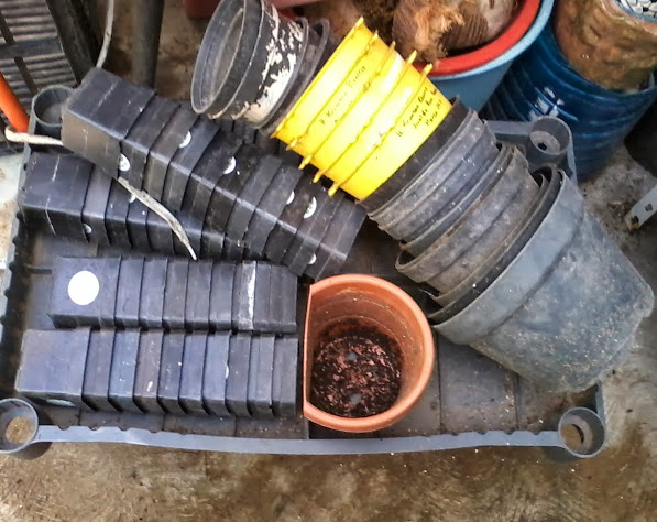 20131006_152404.jpg