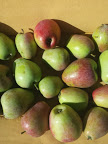 20131012_113516.jpg