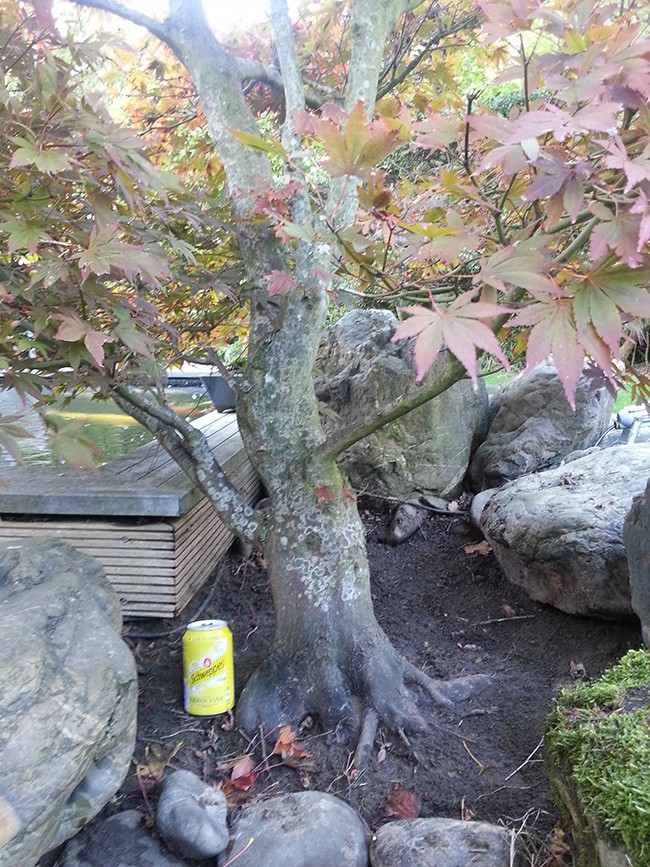 20131013.jpg