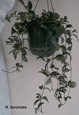 20131016_105655.jpg