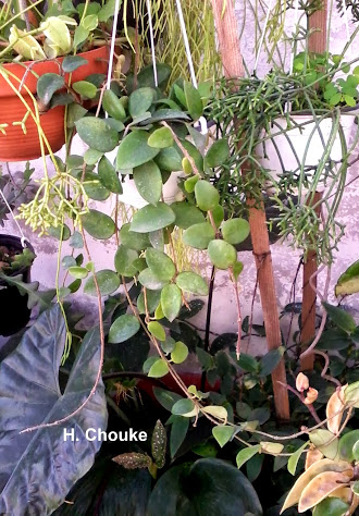 20131016_105707.jpg
