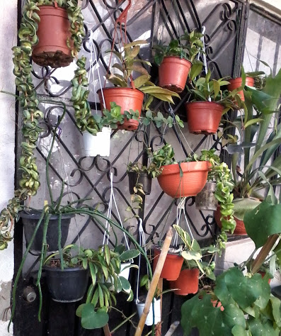 20131016_105851.jpg