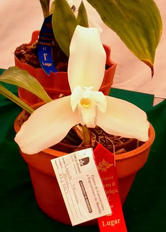 20131019_105712.jpg