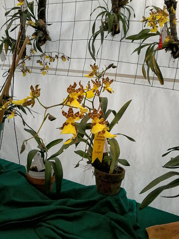 20131019_105926.jpg