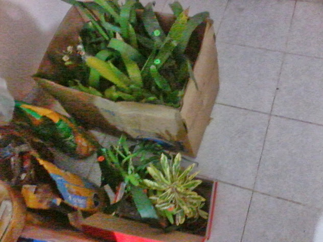 20131019_193602.jpg