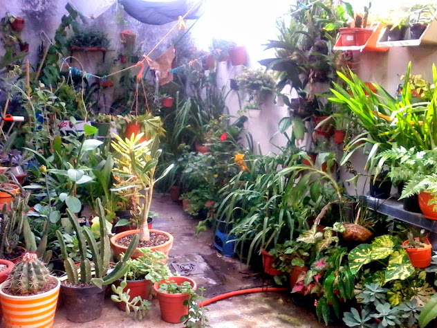20131024_161147.jpg