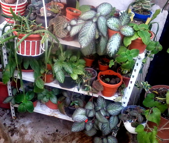 20131024_161319.jpg
