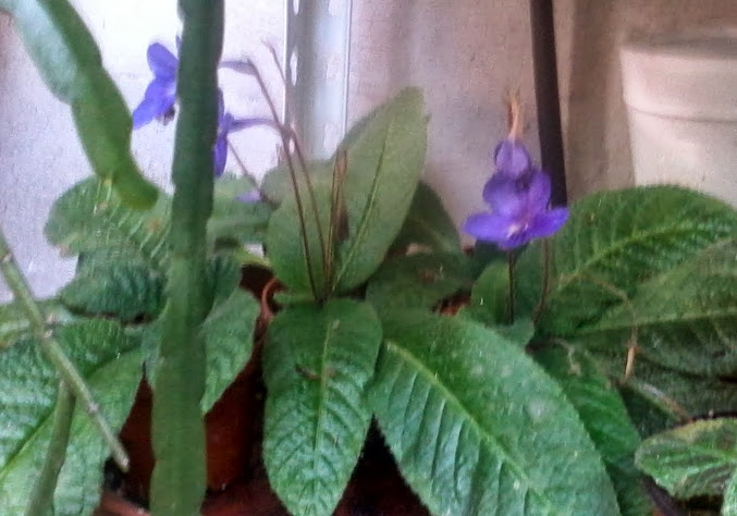 20131024_161325.jpg
