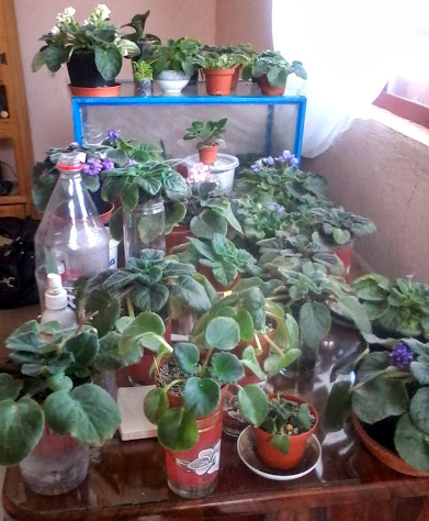 20131024_161420.jpg