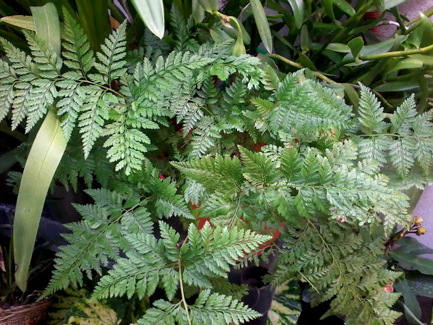 20131030_170304.jpg