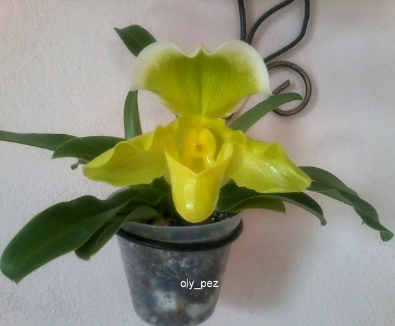 20131109_090120.jpg