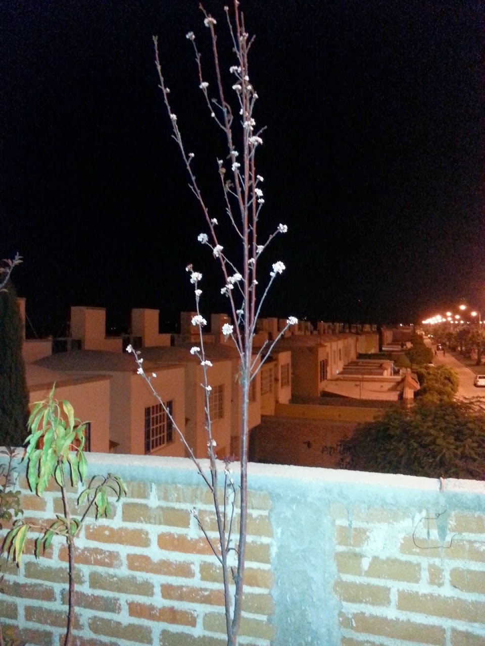 20131111_222526.jpg