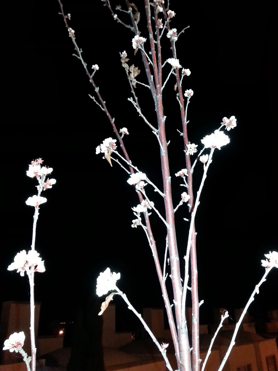 20131111_222604.jpg