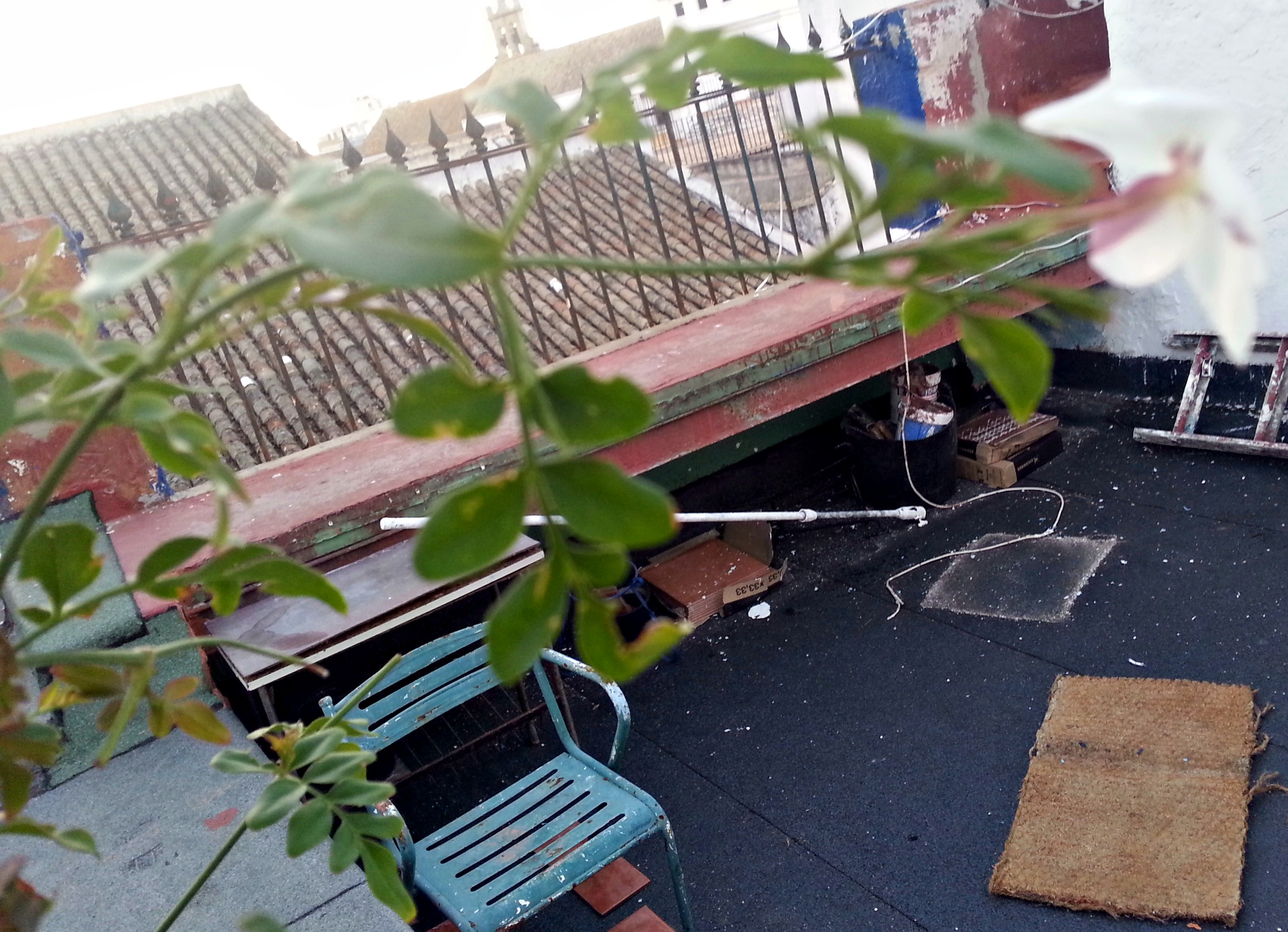 20131112_181208_sgc2.jpg