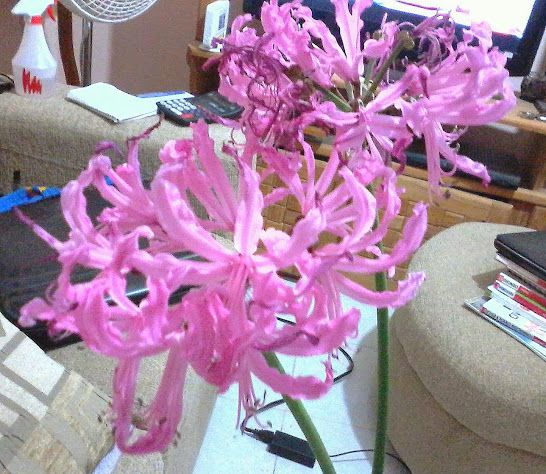 20131115_202008.jpg