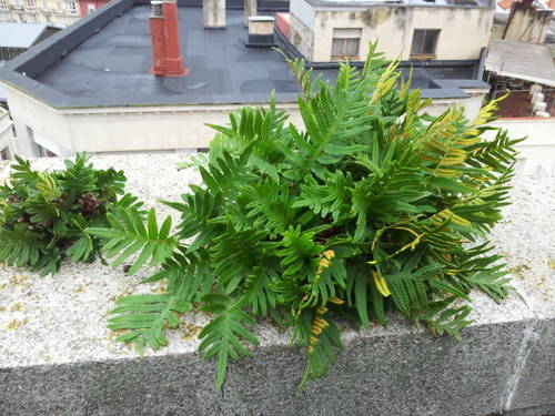 20131123_133542.jpg