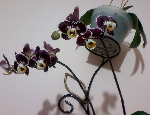 20131123_193228.jpg