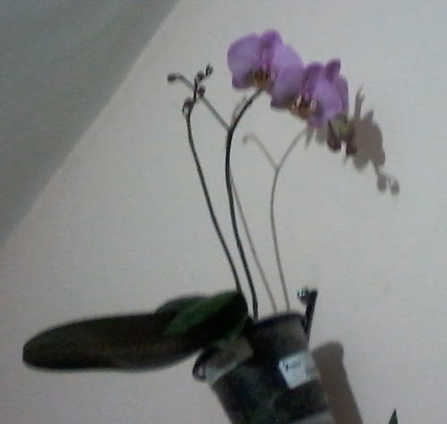 20131123_193325.jpg
