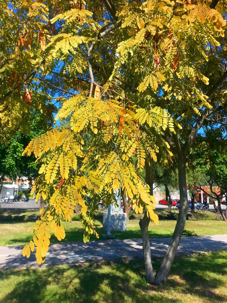 20131126_135708.jpg