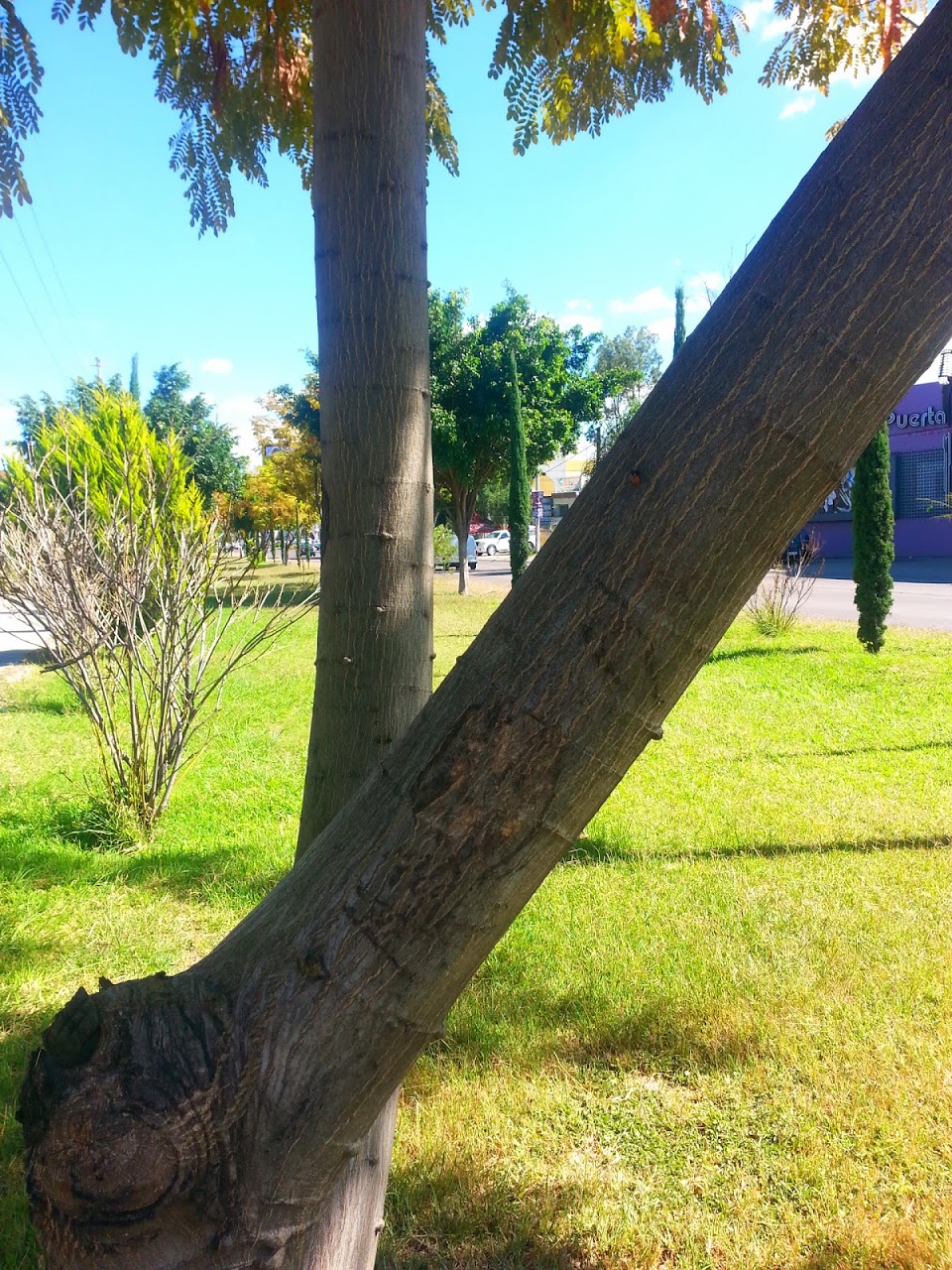 20131126_135726.jpg