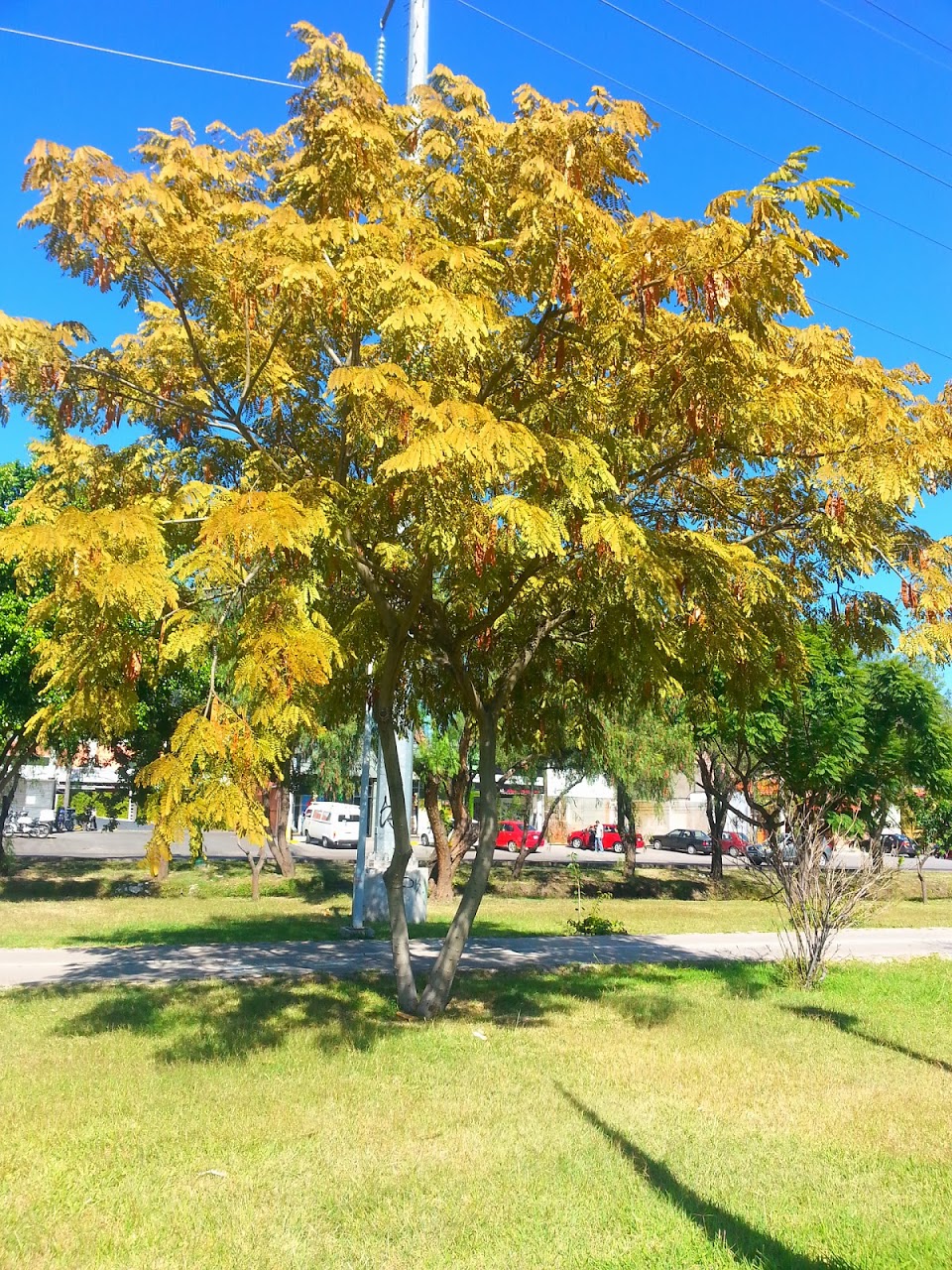 20131126_135749.jpg
